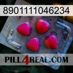 8901111046234 13